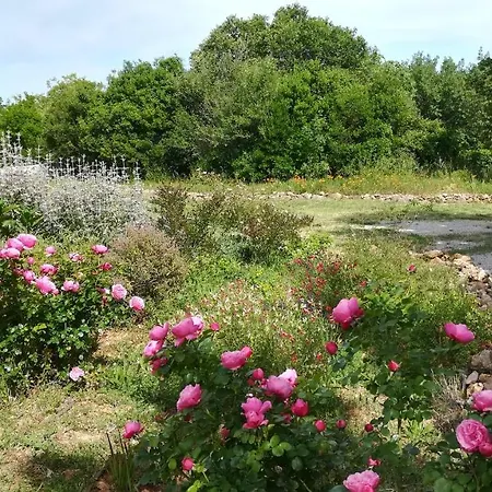 Entre Brousse Et Garrigue *