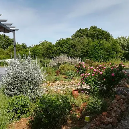 Entre Brousse Et Garrigue