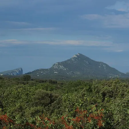 Entre Brousse Et Garrigue Holiday home