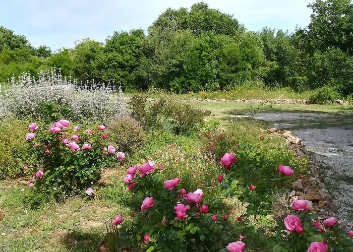 Entre Brousse Et Garrigue *